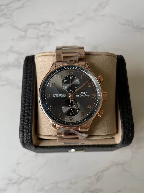 IWC watch 90 (12)