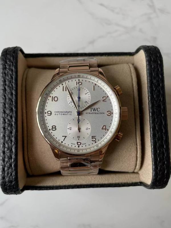 IWC watch 90 (9)