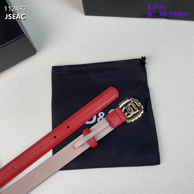 DG belt 25mmX90-110cm 8L04 (4)_659634