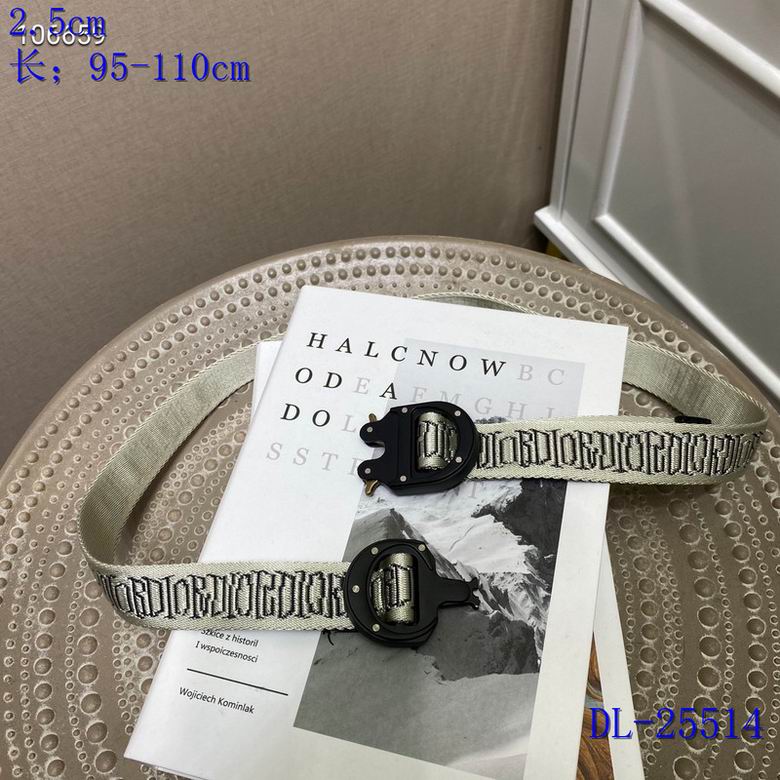 Dior 25mmX95-110CM 8L (14)