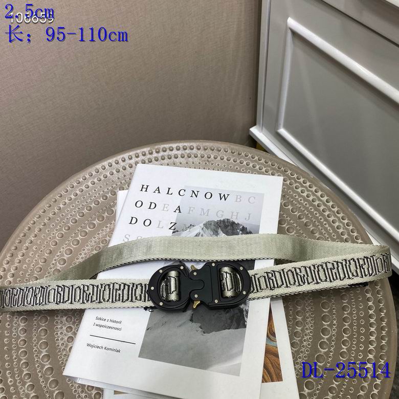 Dior 25mmX95-110CM 8L (15)