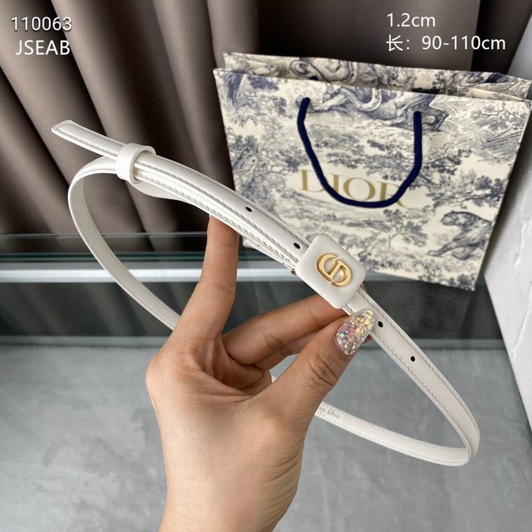 Dior Belt 12mmX90-110cm 8L (11)