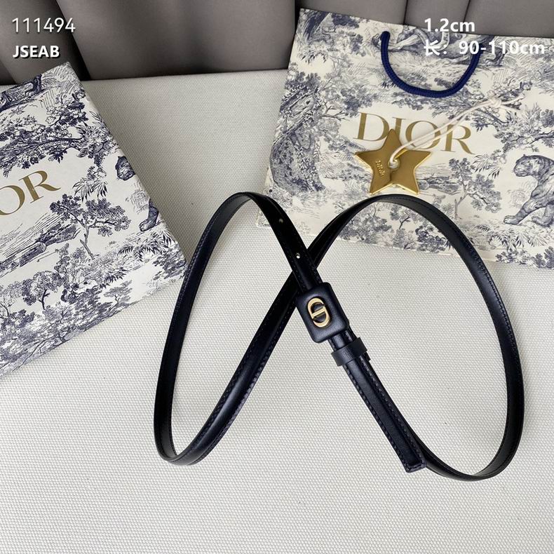 Dior Belt 12mmX90-110cm 8L (12)