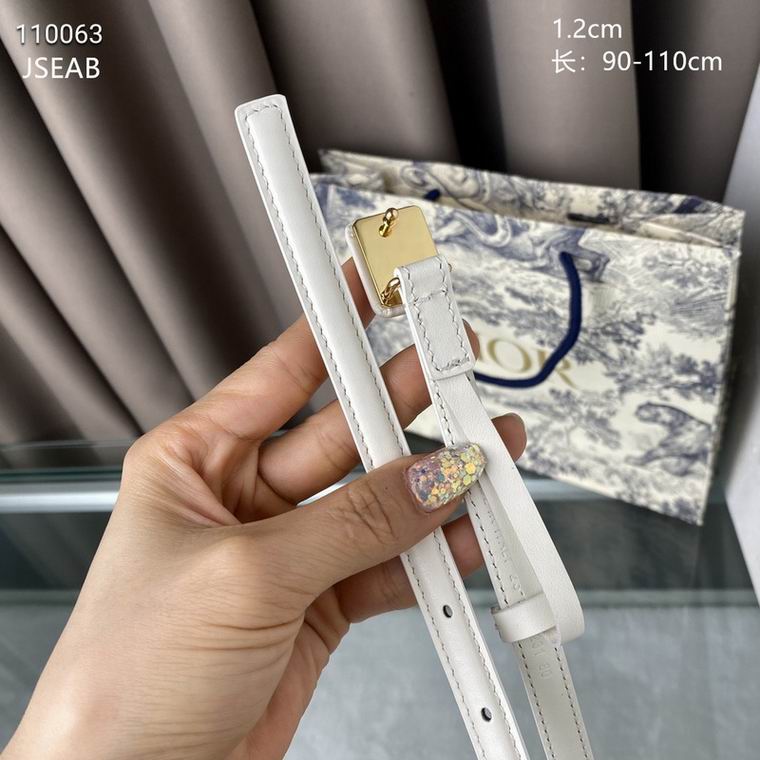 Dior Belt 12mmX90-110cm 8L (13)