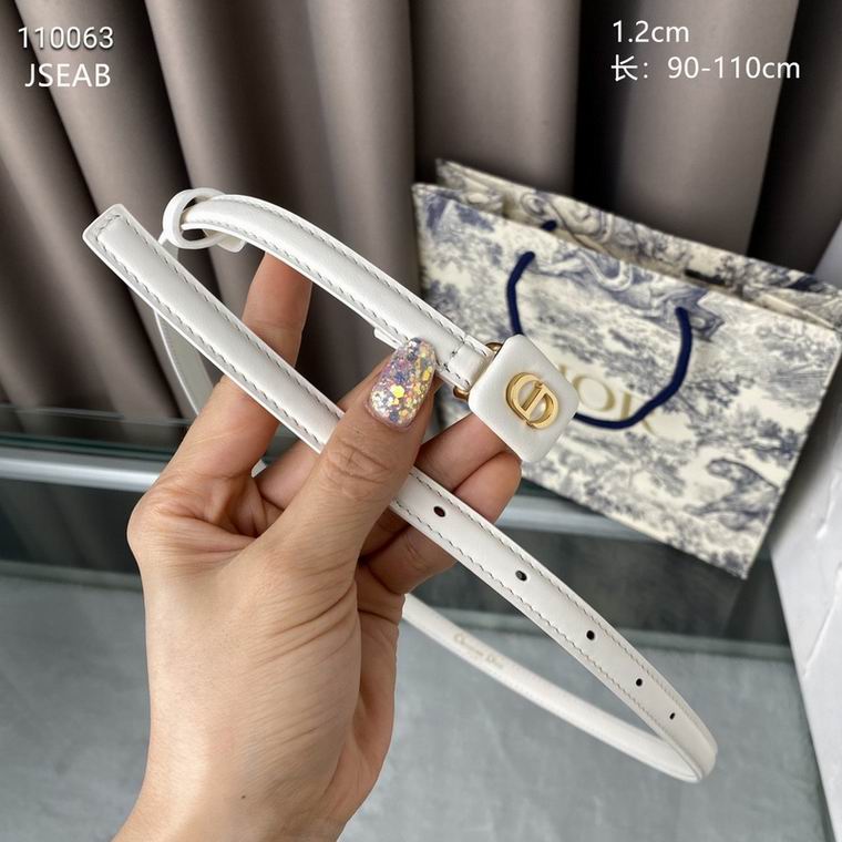 Dior Belt 12mmX90-110cm 8L (15)
