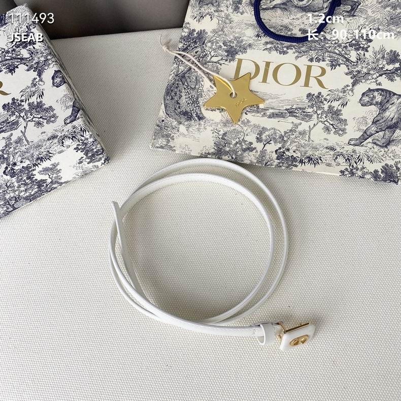 Dior Belt 12mmX90-110cm 8L (16)