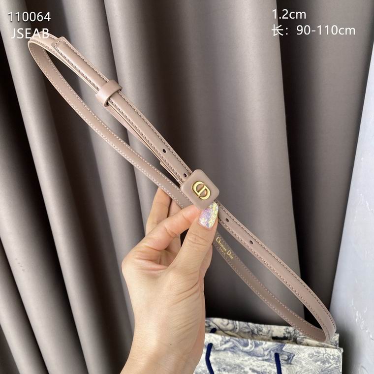 Dior Belt 12mmX90-110cm 8L (17)