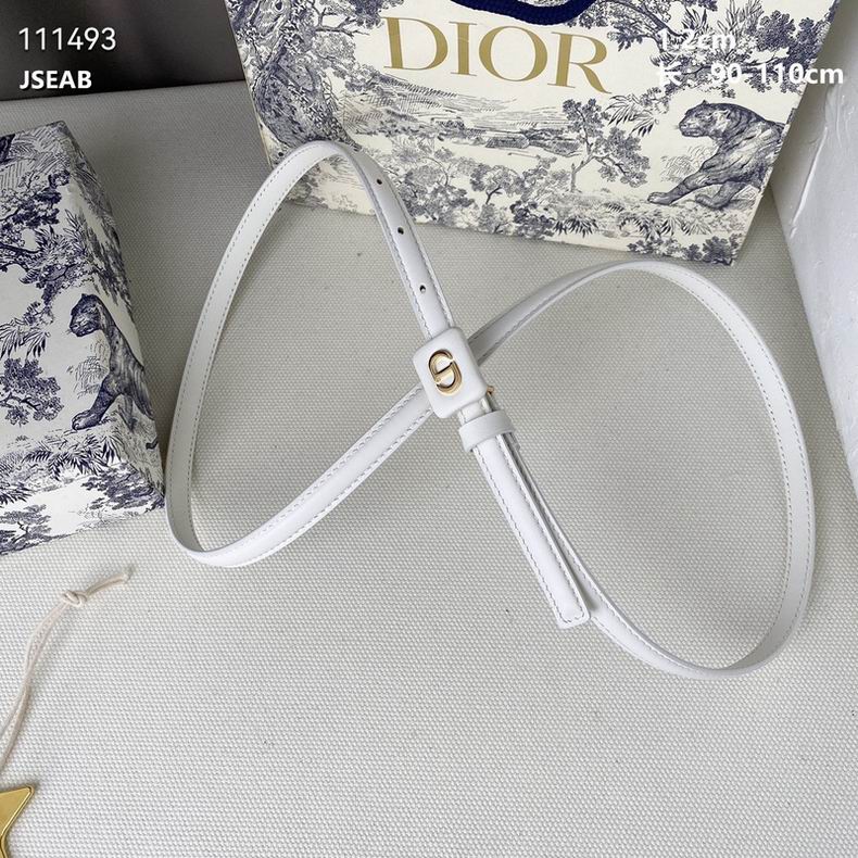 Dior Belt 12mmX90-110cm 8L (18)