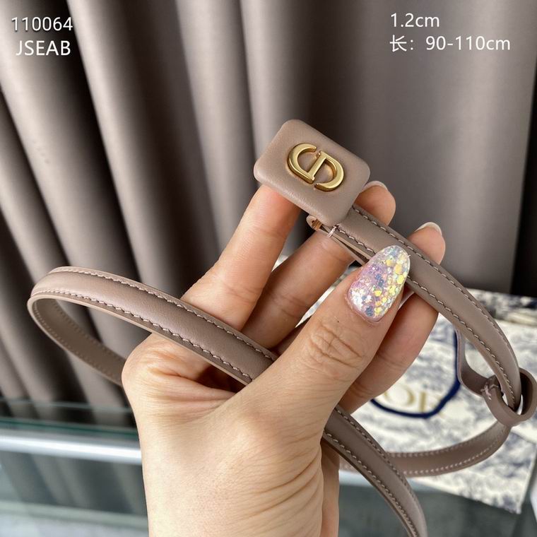 Dior Belt 12mmX90-110cm 8L (19)
