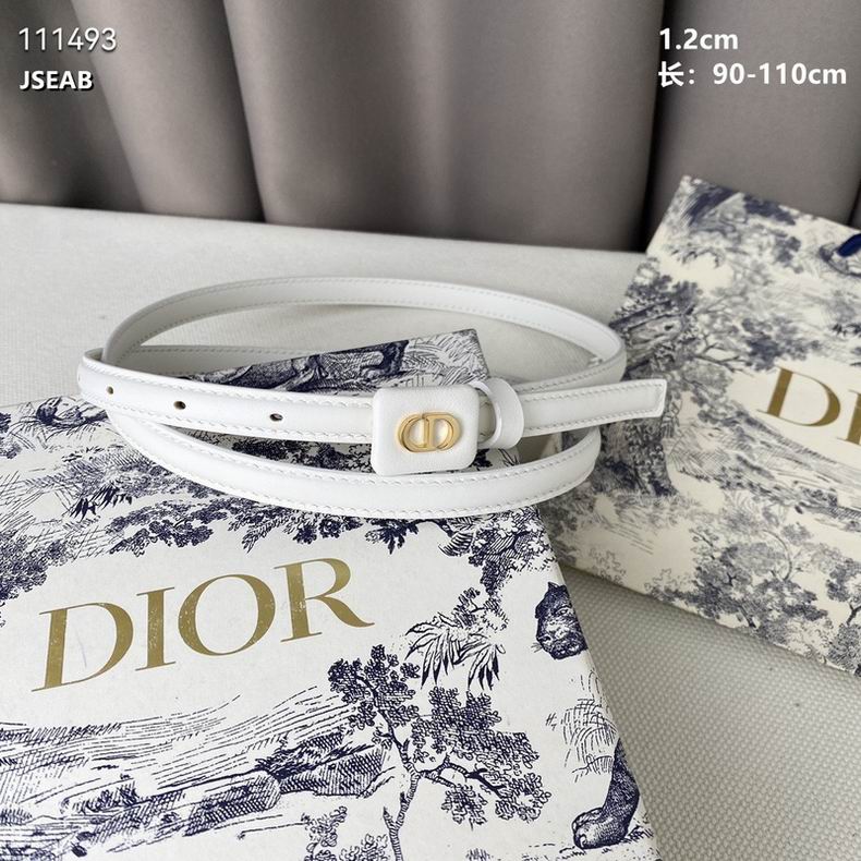 Dior Belt 12mmX90-110cm 8L (20)