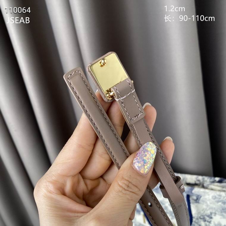 Dior Belt 12mmX90-110cm 8L (21)