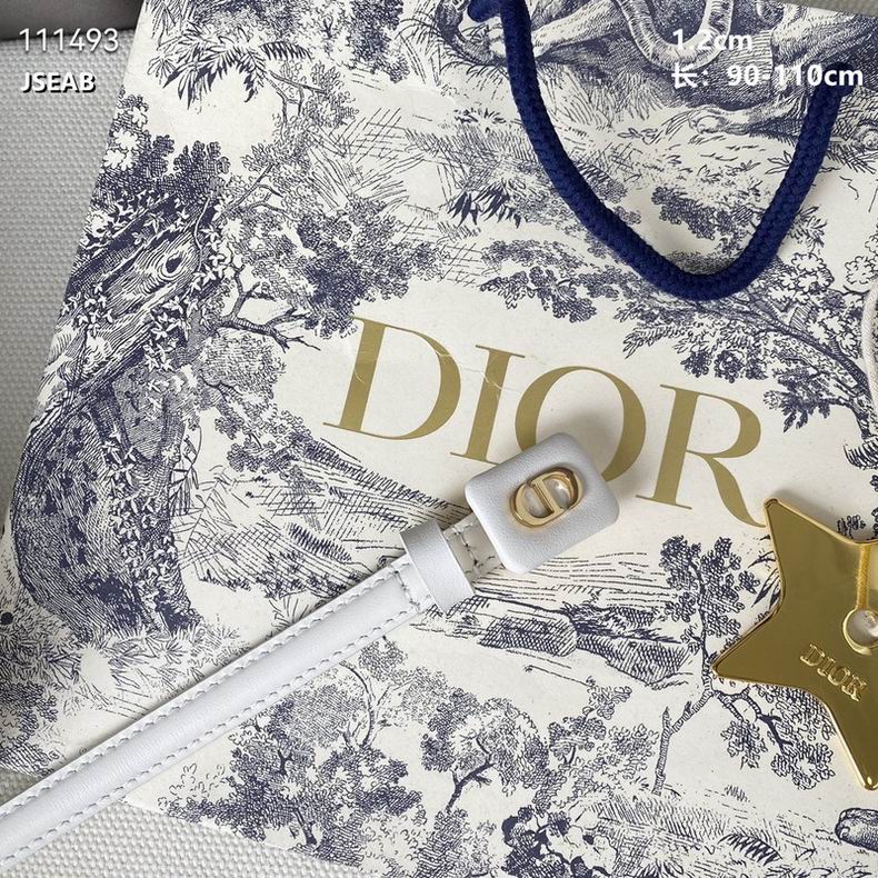 Dior Belt 12mmX90-110cm 8L (22)