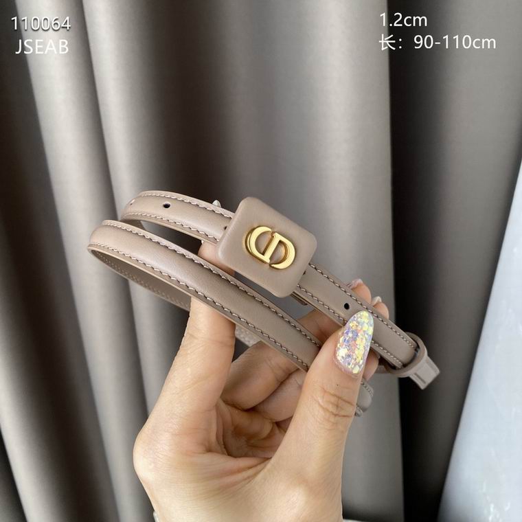 Dior Belt 12mmX90-110cm 8L (23)