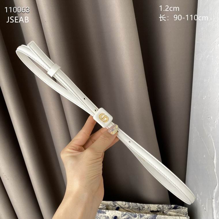 Dior Belt 12mmX90-110cm 8L (9)