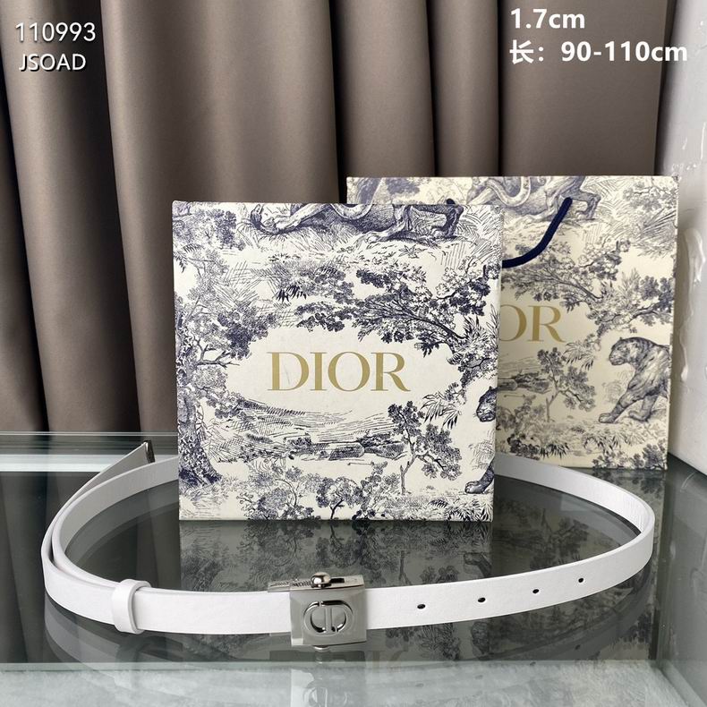 Dior Belt 17mmX90-110cm 8L (3)