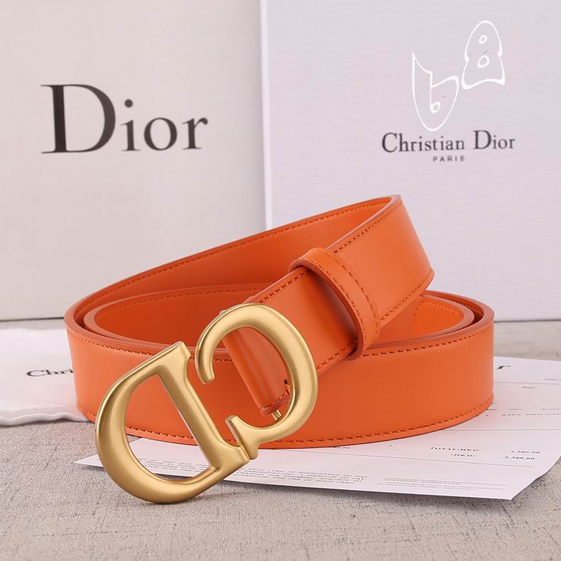 Dior Belt 20mm 30mm 35mm 40mm lb (21)