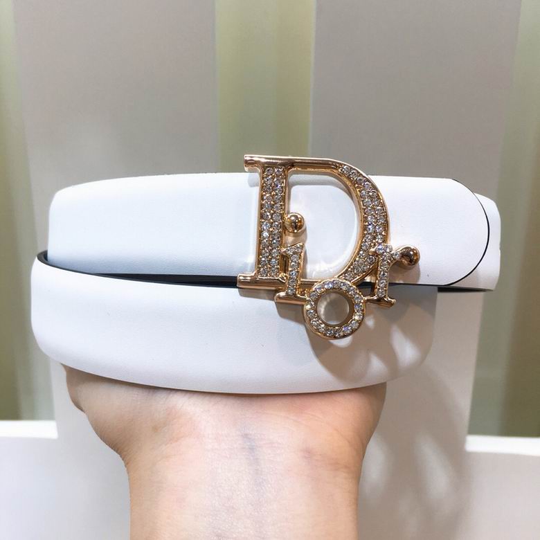 Dior Belt 25mmX95-110cm 7d (10)