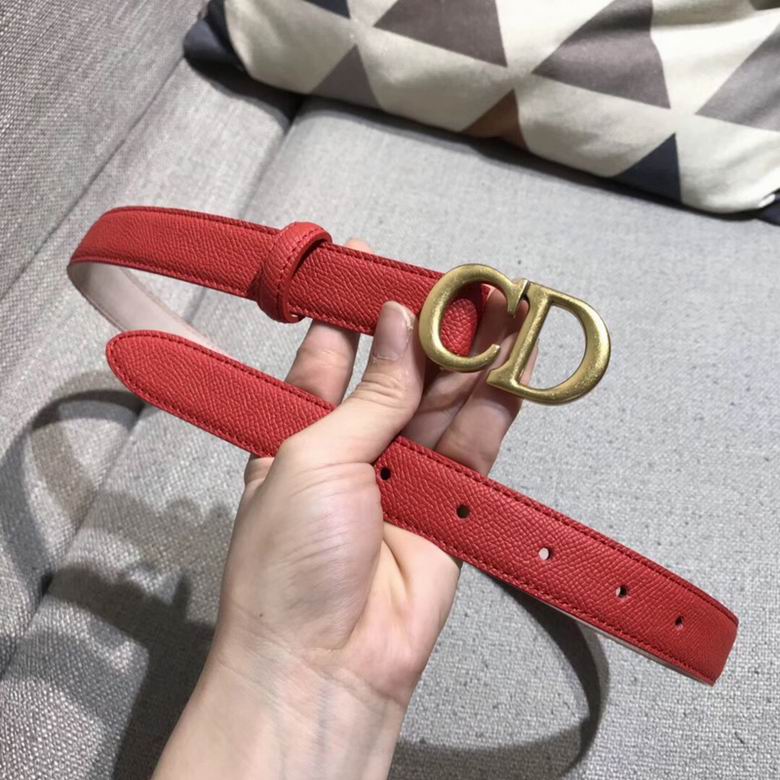 Dior Belt 25mmX95-110cm 7d (8)