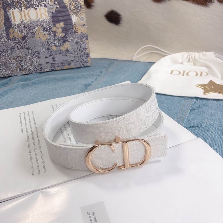 Dior Belt 30mmX95-110cm 7d (1)