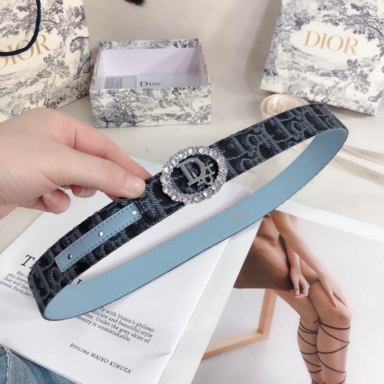 Dior Belt 30mmX95-110cm 7d (10)