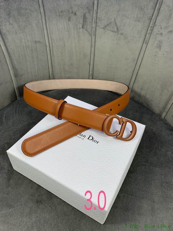 Dior Belt 30mmX95-110cm 7d (11)