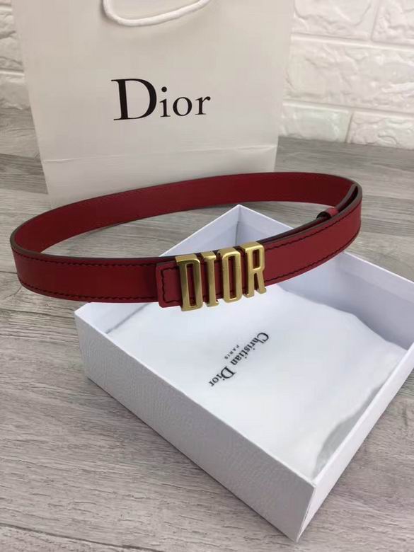 Dior Belt 30mmX95-110cm 7d (11)