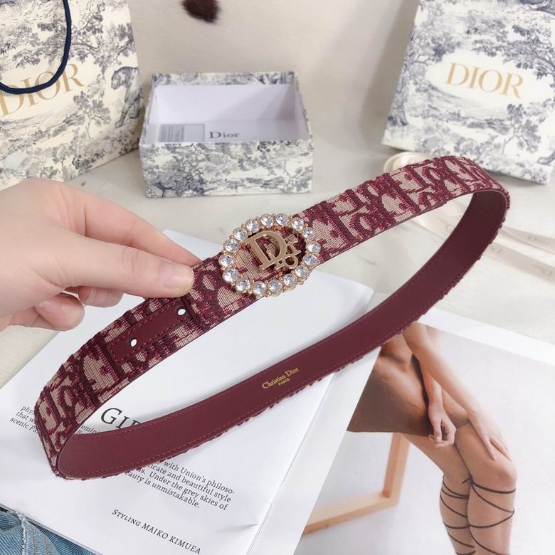 Dior Belt 30mmX95-110cm 7d (12)