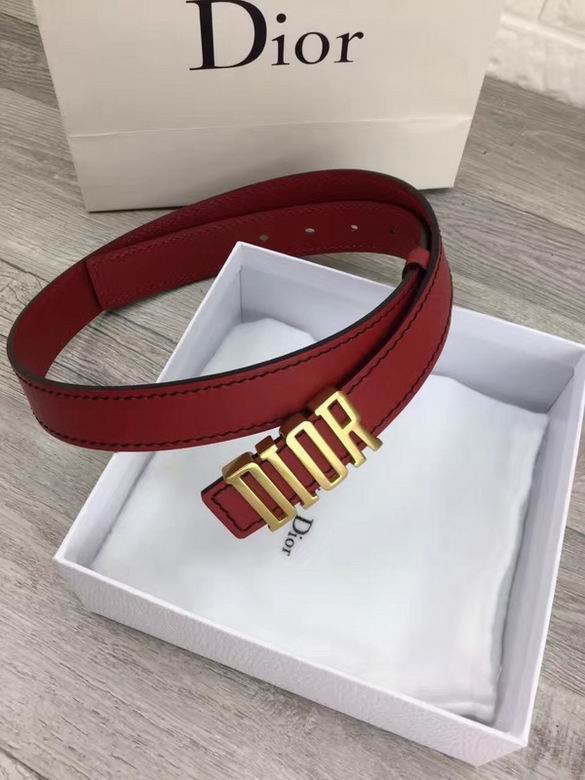 Dior Belt 30mmX95-110cm 7d (13)