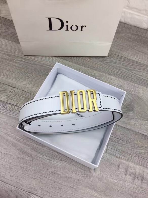 Dior Belt 30mmX95-110cm 7d (15)