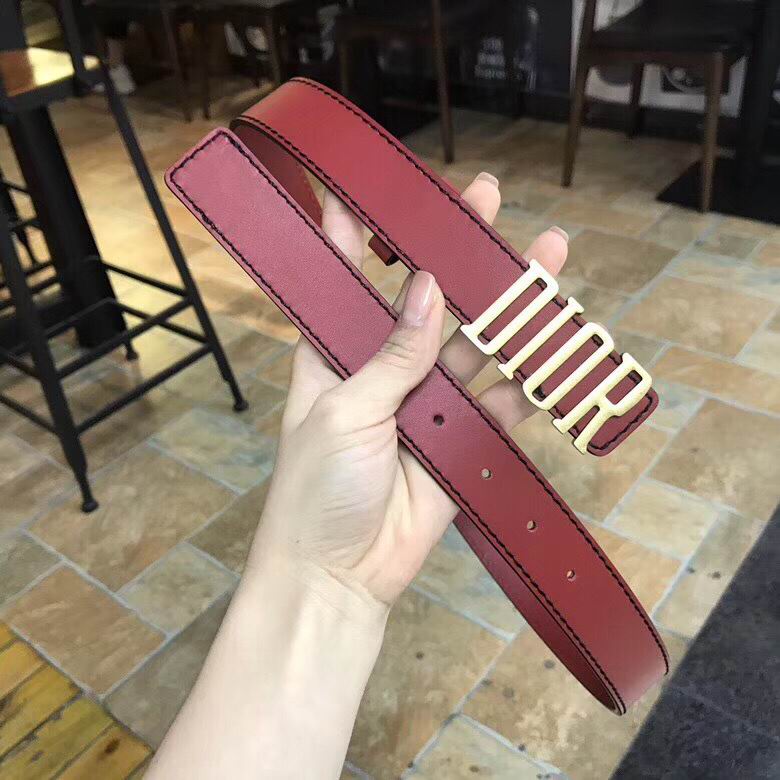 Dior Belt 30mmX95-110cm 7d (29)