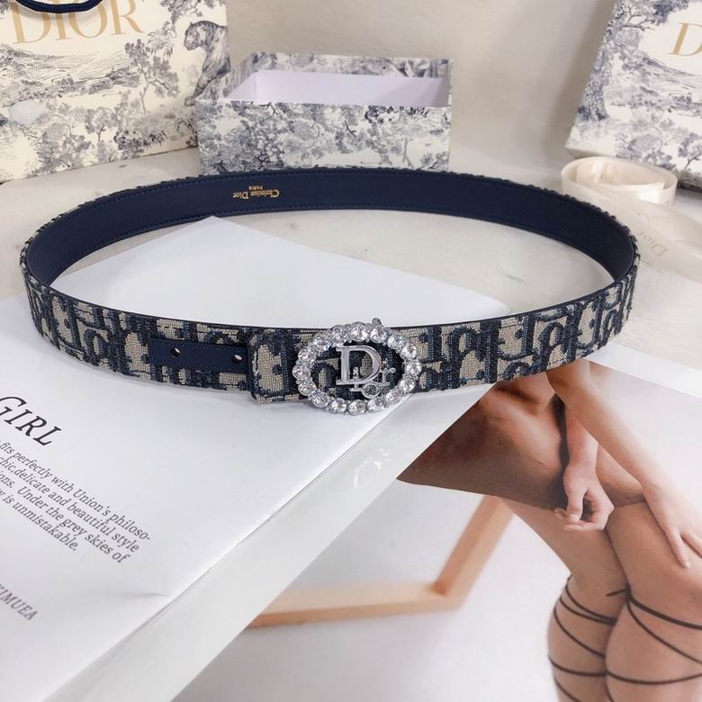 Dior Belt 30mmX95-110cm 7d (3)