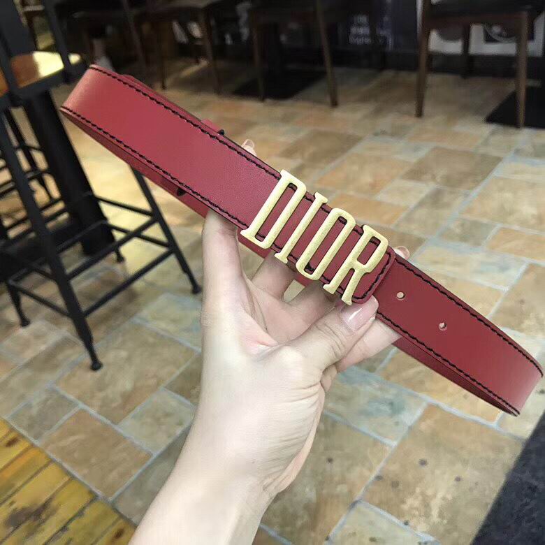 Dior Belt 30mmX95-110cm 7d (30)