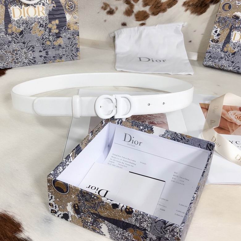 Dior Belt 30mmX95-110cm 7d (4)