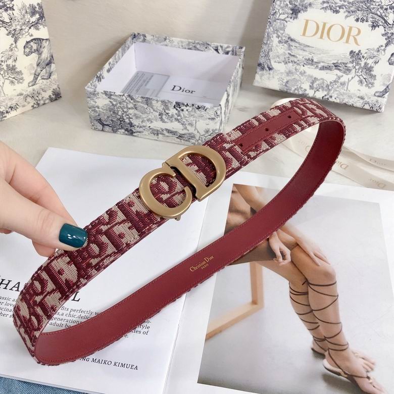 Dior Belt 30mmX95-110cm 7d (5)