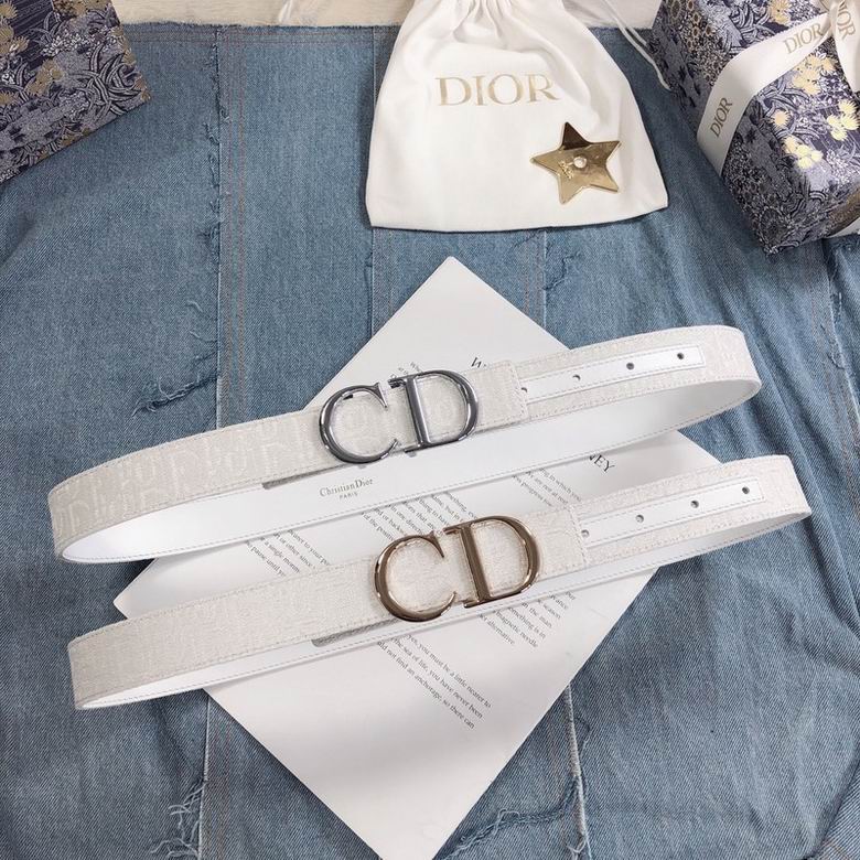 Dior Belt 30mmX95-110cm 7d (5)