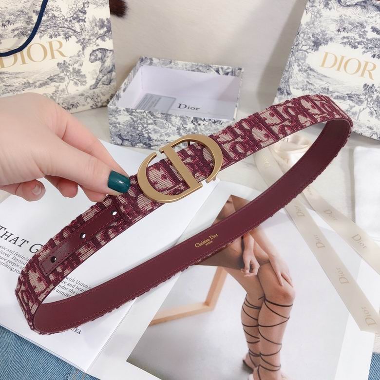 Dior Belt 30mmX95-110cm 7d (6)