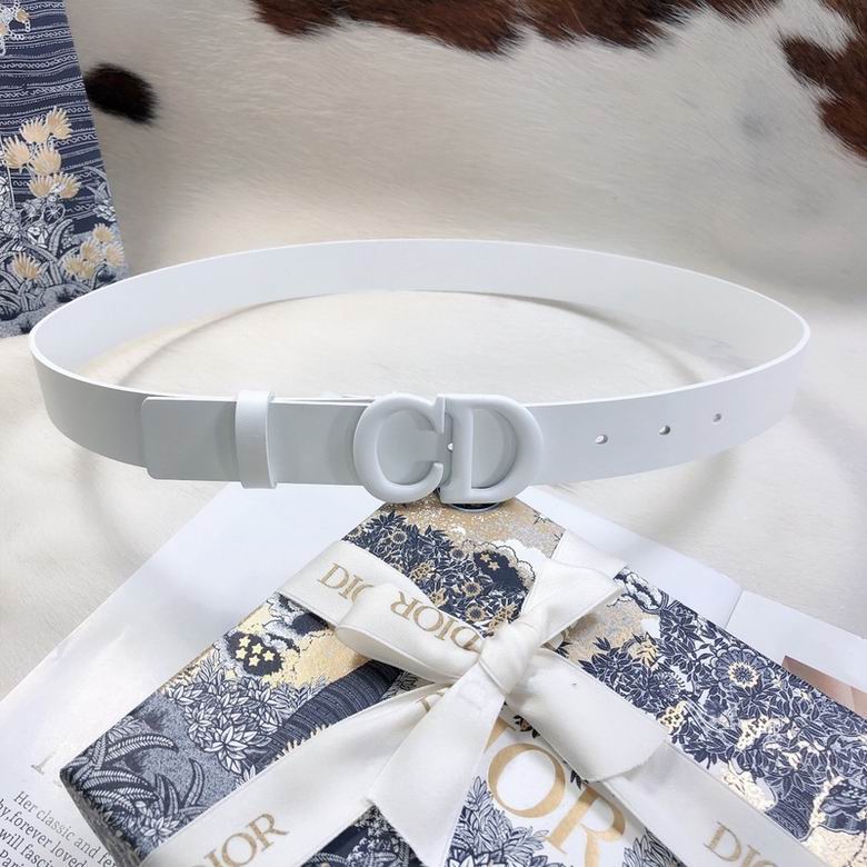 Dior Belt 30mmX95-110cm 7d (7)