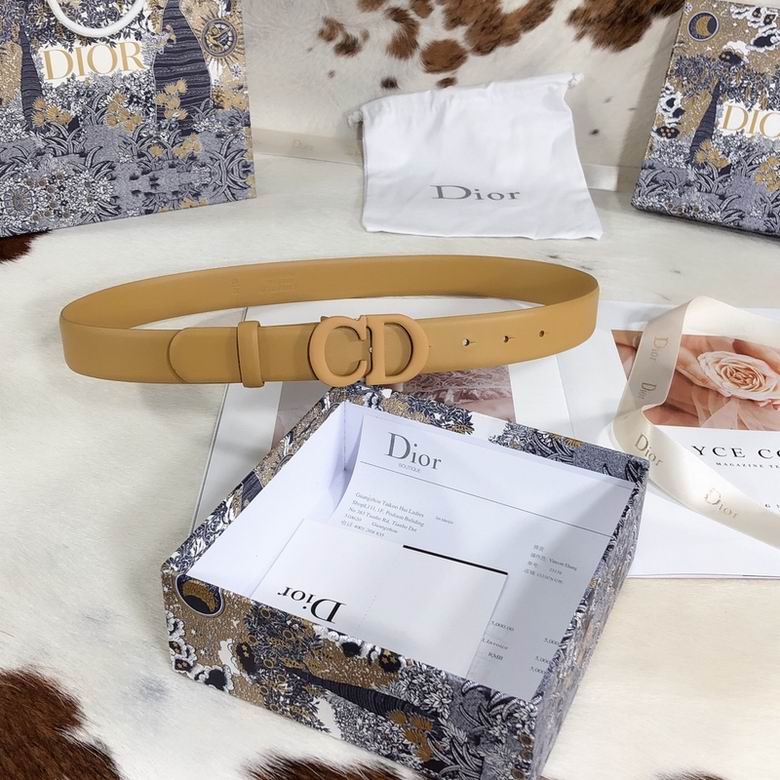 Dior Belt 30mmX95-110cm 7d (8)