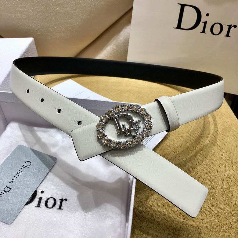 Dior Belt 30mmX95-110cm 7d (9)