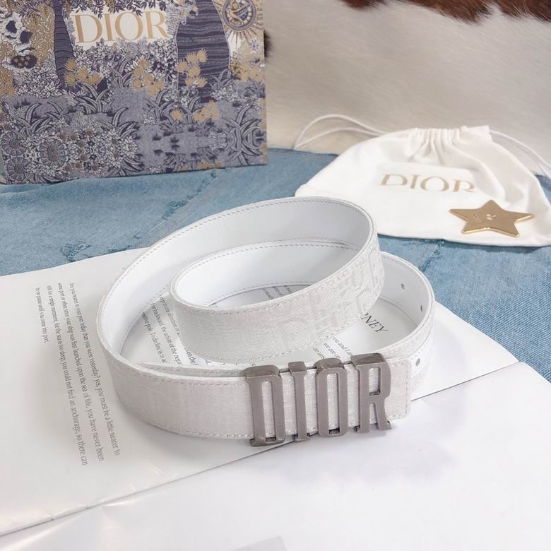 Dior Belt 30mmX95-110cm 7d  (1)
