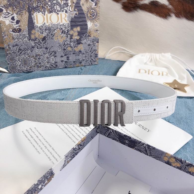 Dior Belt 30mmX95-110cm 7d  (2)