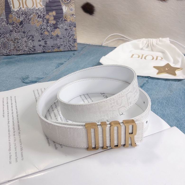 Dior Belt 30mmX95-110cm 7d  (3)