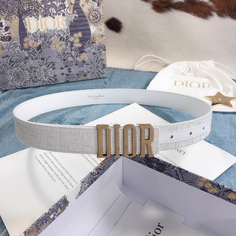 Dior Belt 30mmX95-110cm 7d  (4)