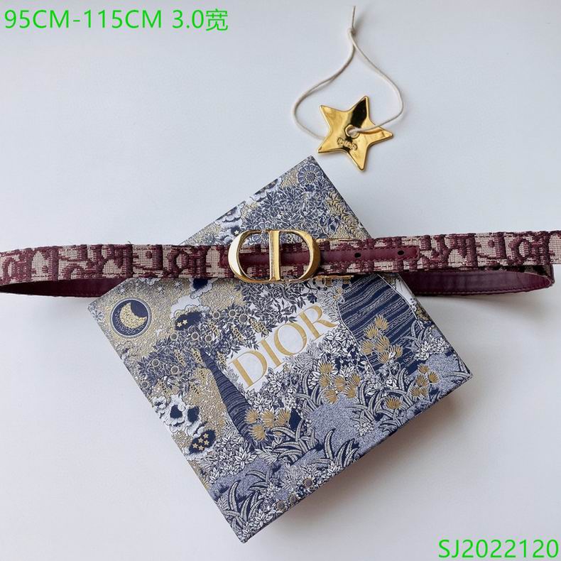 Dior Belt 30mmX95-115cm 7D (1)