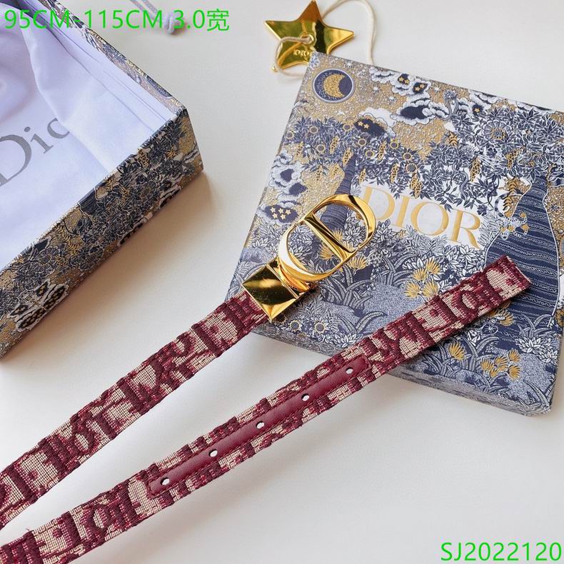 Dior Belt 30mmX95-115cm 7D (2)