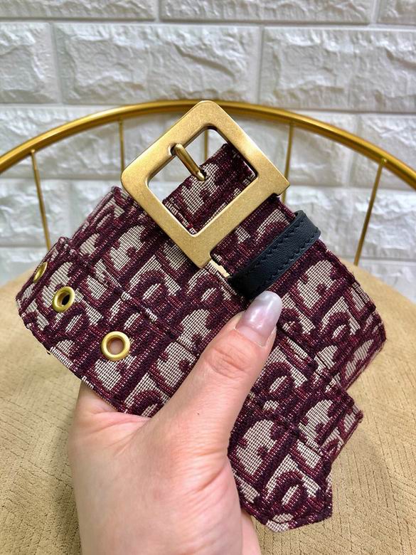 Dior Belt 34mmX95-110cm 7d (5)