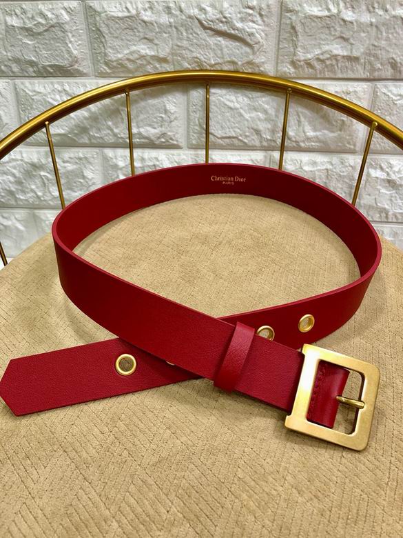 Dior Belt 34mmX95-110cm 7d  (14)