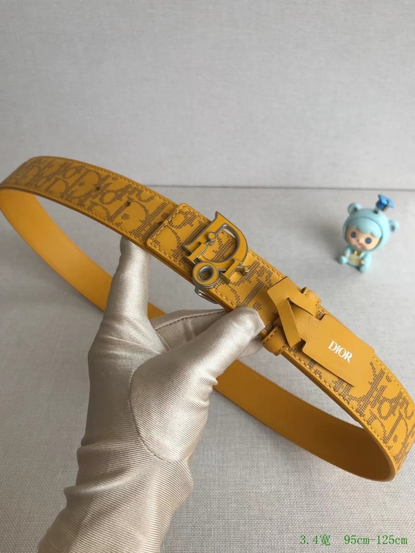 Dior Belt 34mmX95-125cm 7D (6)