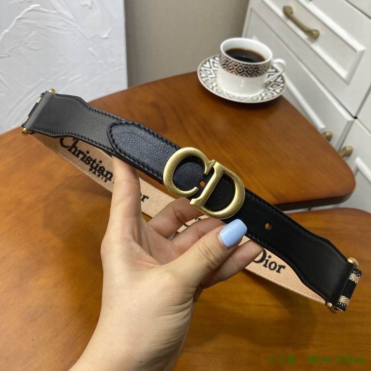 Dior Belt 35mmX95-125cm 7D (19)