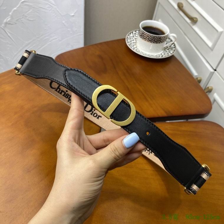 Dior Belt 35mmX95-125cm 7D (22)